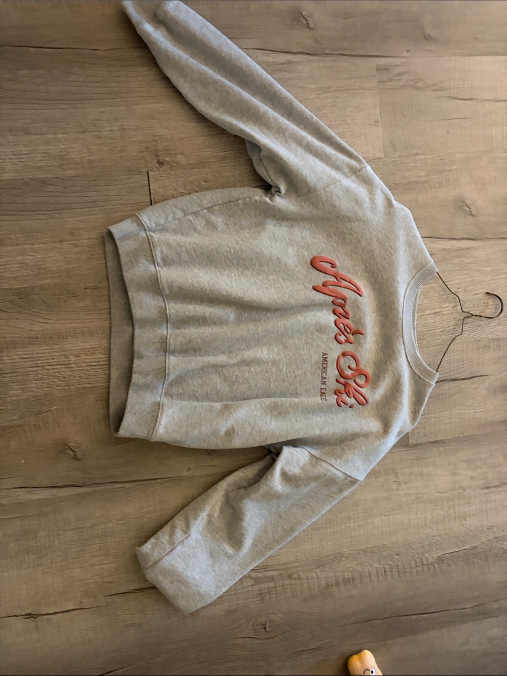 American Eagle Outfitters Light Gray Crewneck Sweatshirt with Coral Script Logo